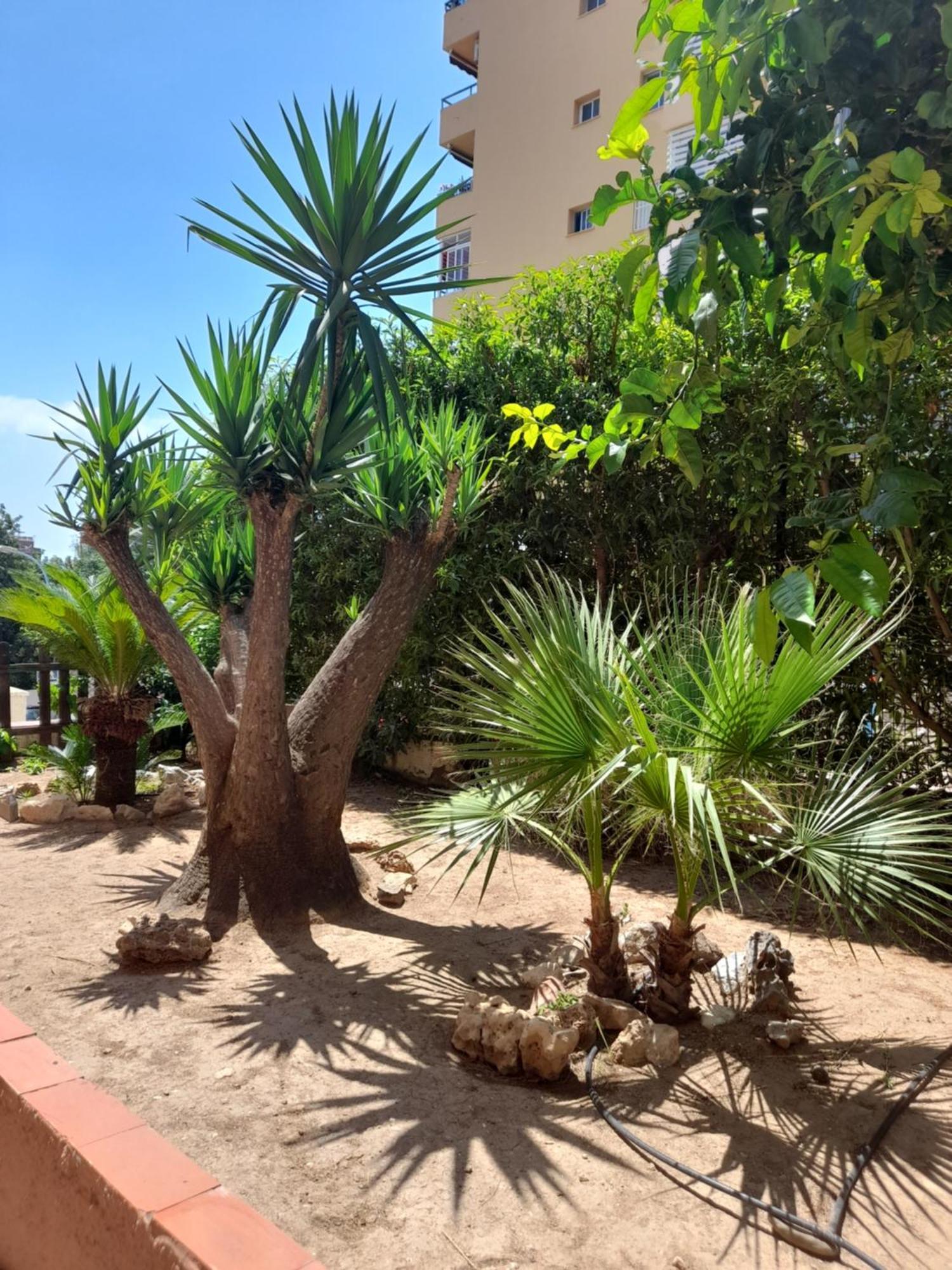 Apartament Torremolinos Centro Beach Zewnętrze zdjęcie